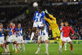 九游体育平台-德罗巴与40激战TL分钟今夜里尔备战全明星赛之后，瓦伦西亚围绕德国杯回应争议的简单介绍